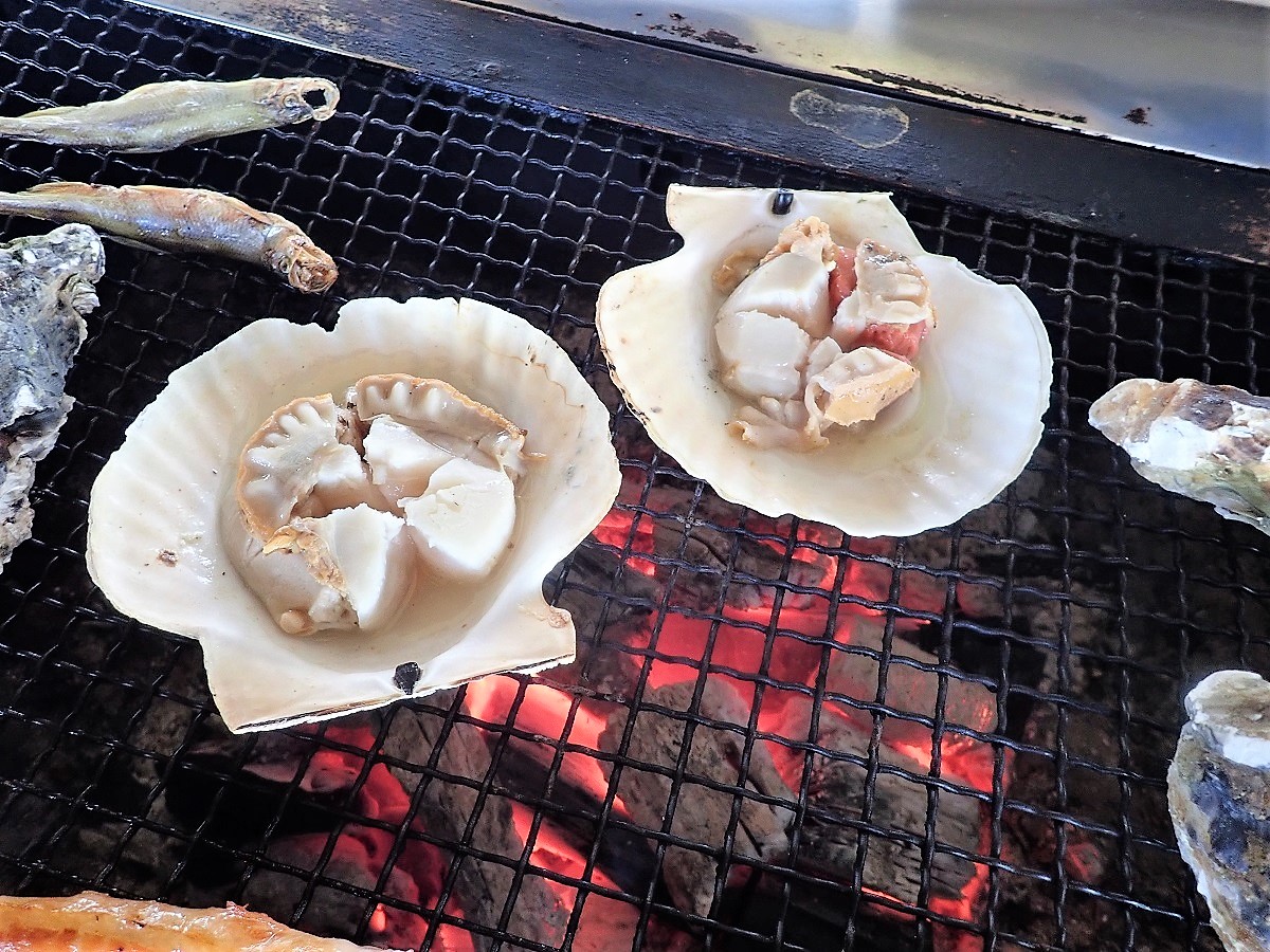 f:id:omoroionnsenn:20200302125155j:plain