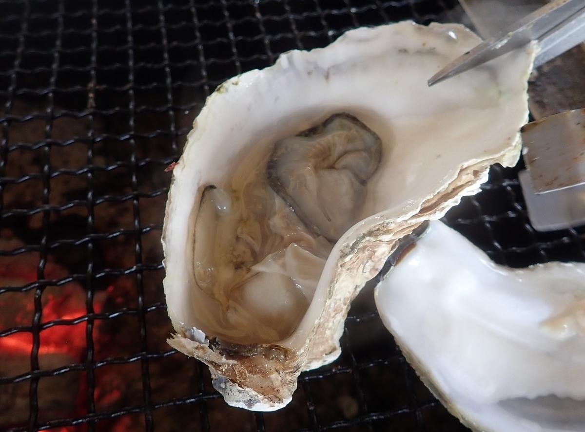 f:id:omoroionnsenn:20200302130231j:plain