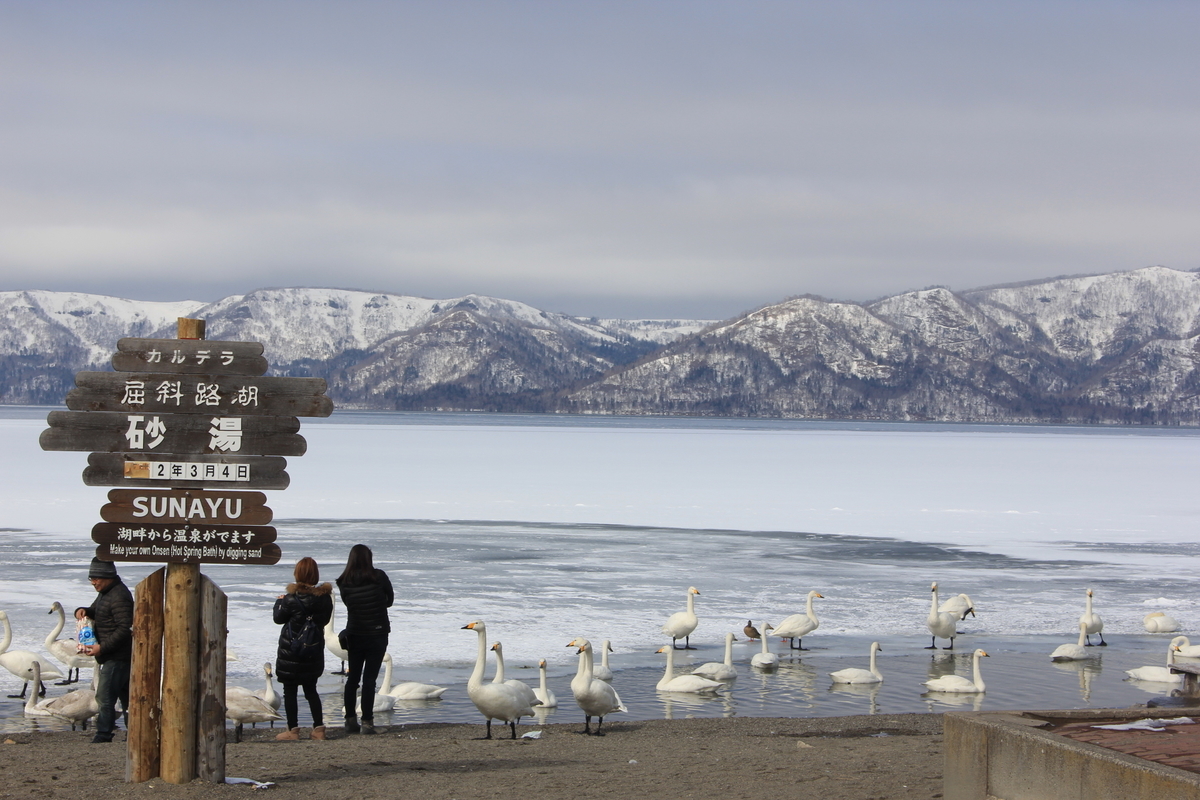 f:id:omoroionnsenn:20200304105829j:plain