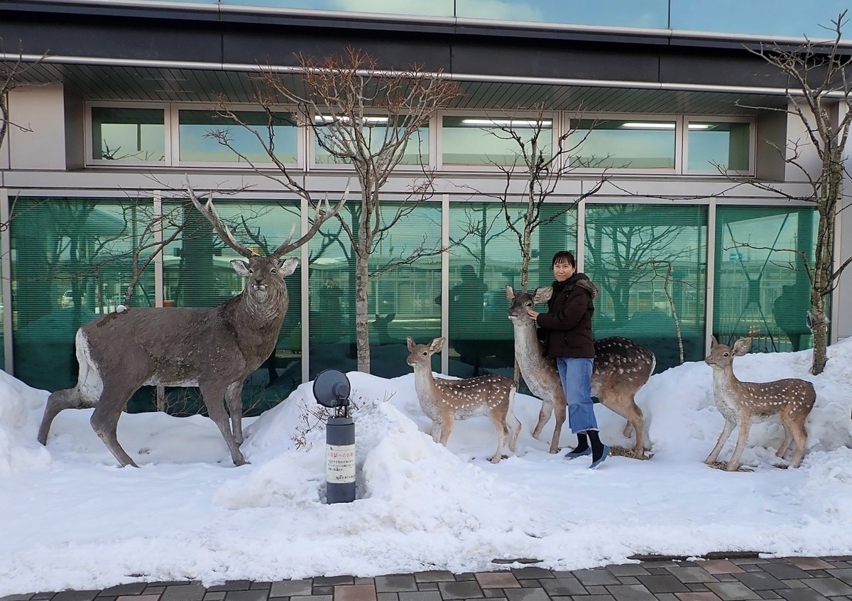 f:id:omoroionnsenn:20200307130138j:plain