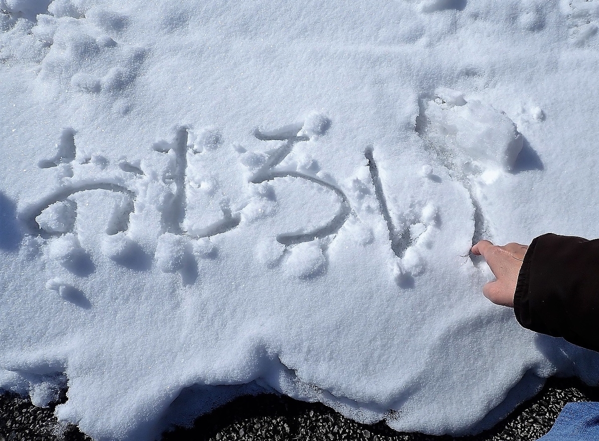 f:id:omoroionnsenn:20200307163631j:plain