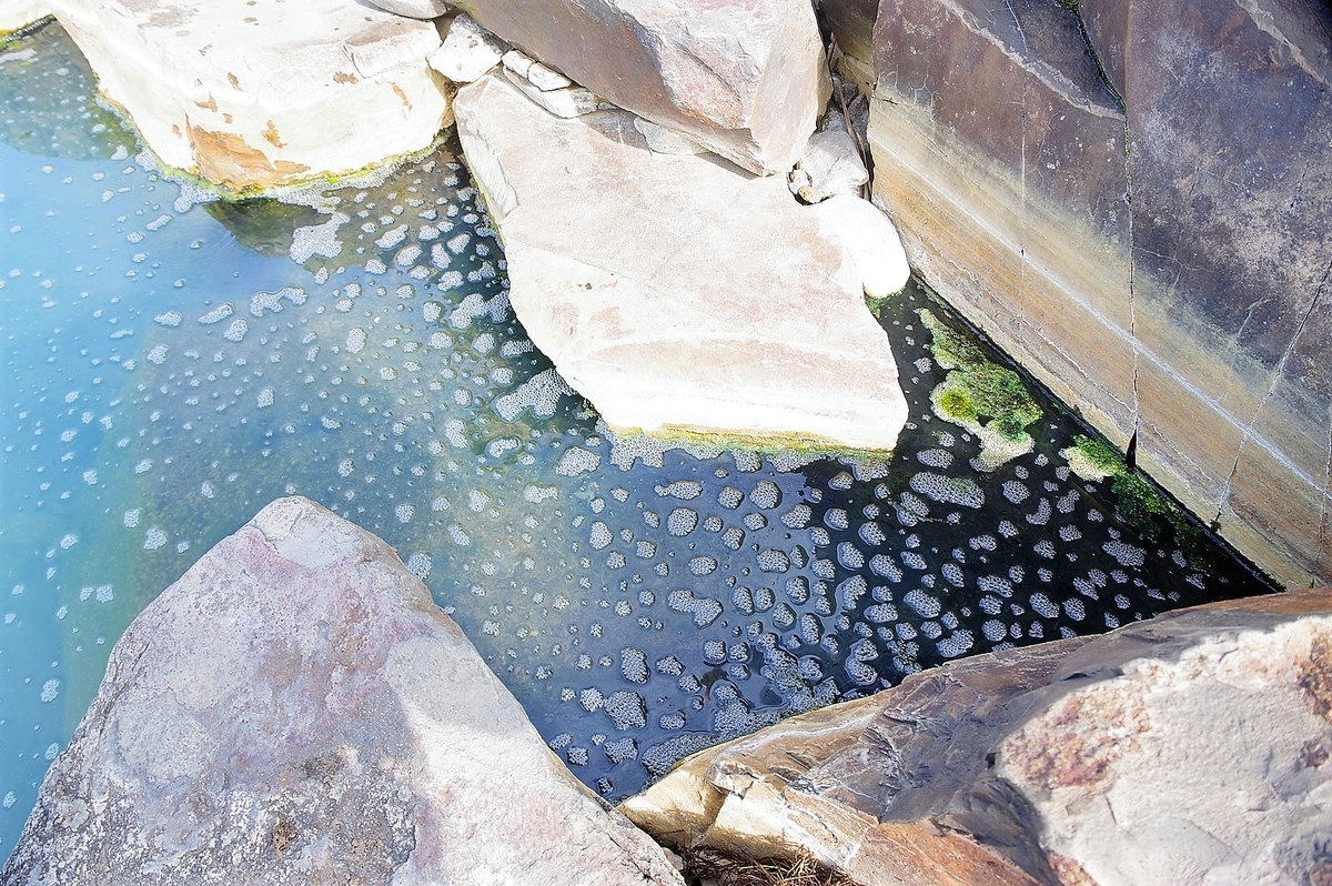 f:id:omoroionnsenn:20200310143451j:plain