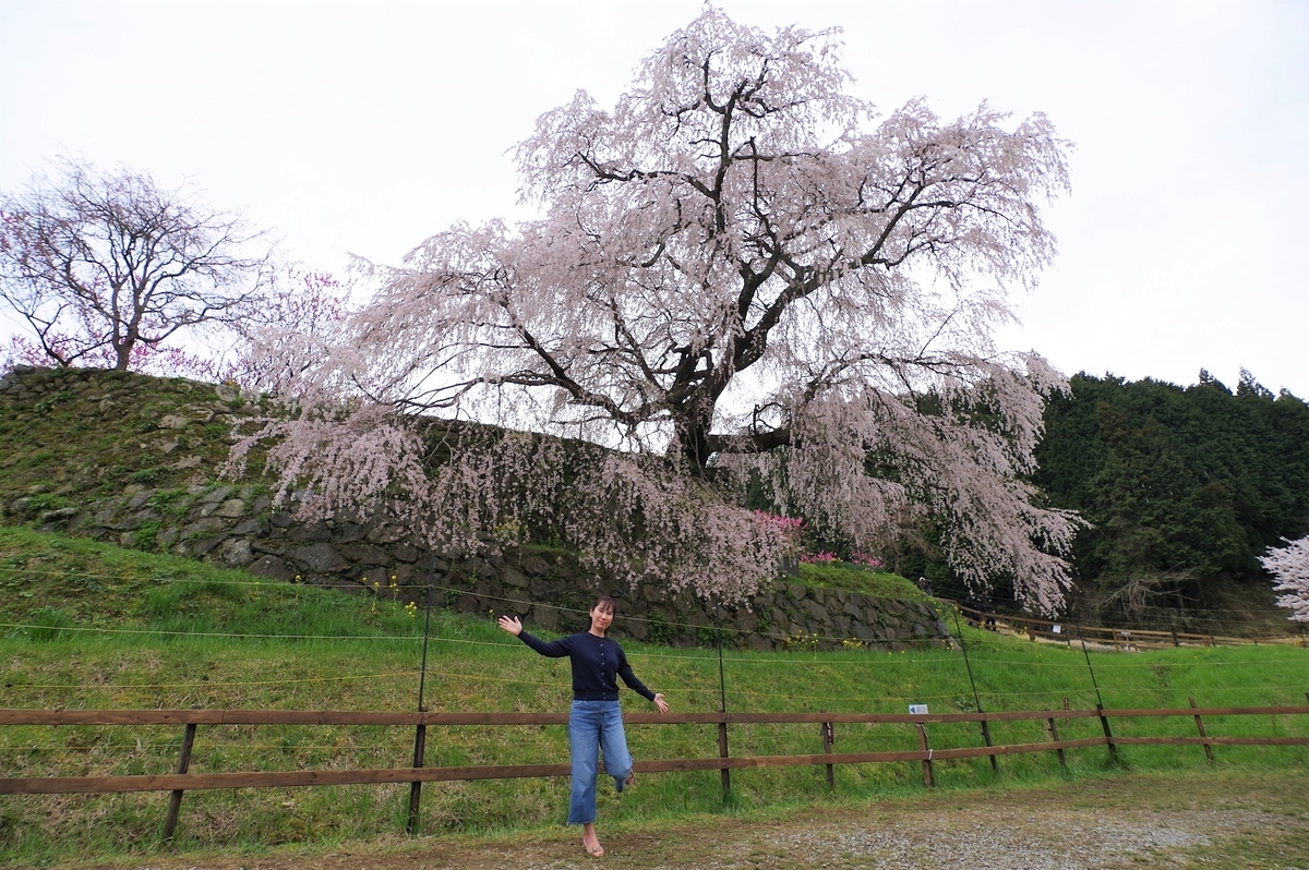 f:id:omoroionnsenn:20200404111243j:plain