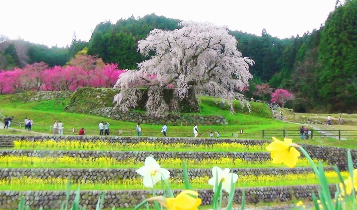 f:id:omoroionnsenn:20200404112026p:plain