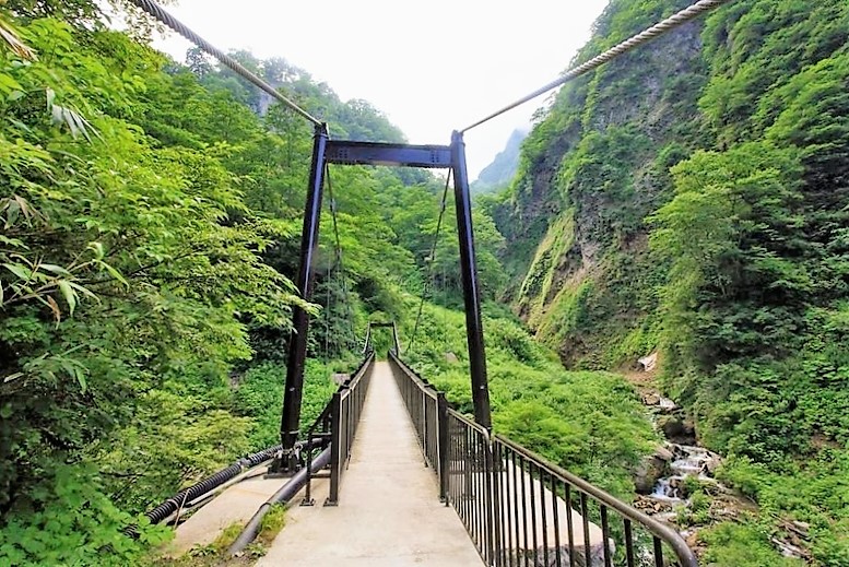 f:id:omoroionnsenn:20200424094721j:plain