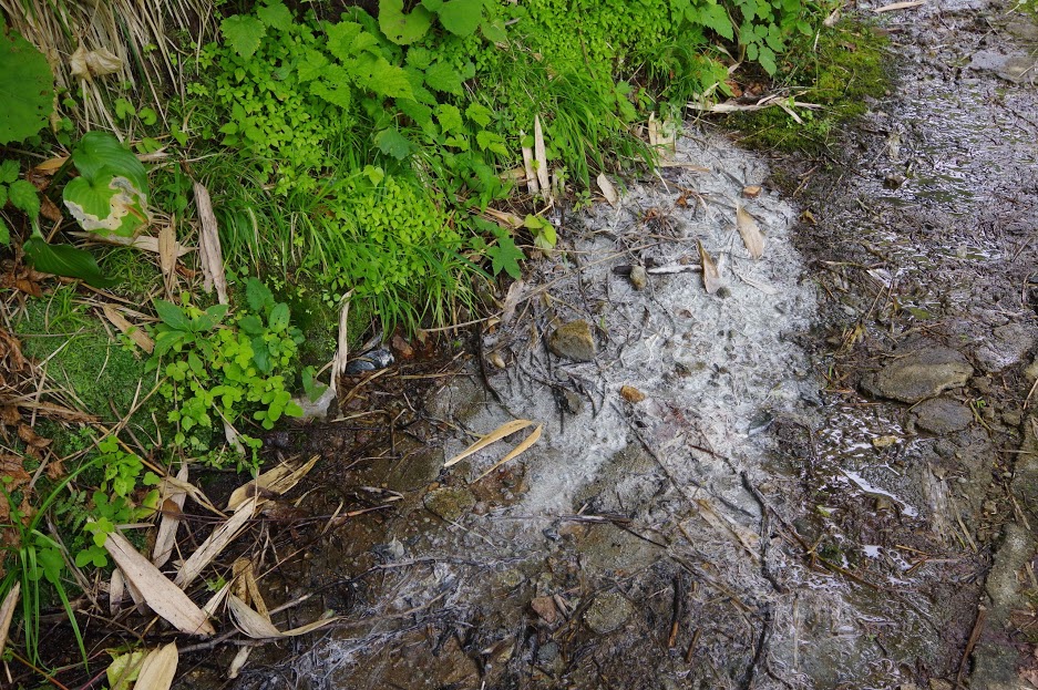 f:id:omoroionnsenn:20200425004952j:plain