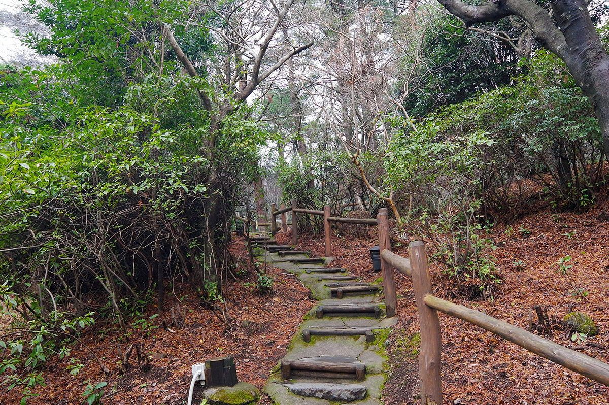 f:id:omoroionnsenn:20200511234937j:plain