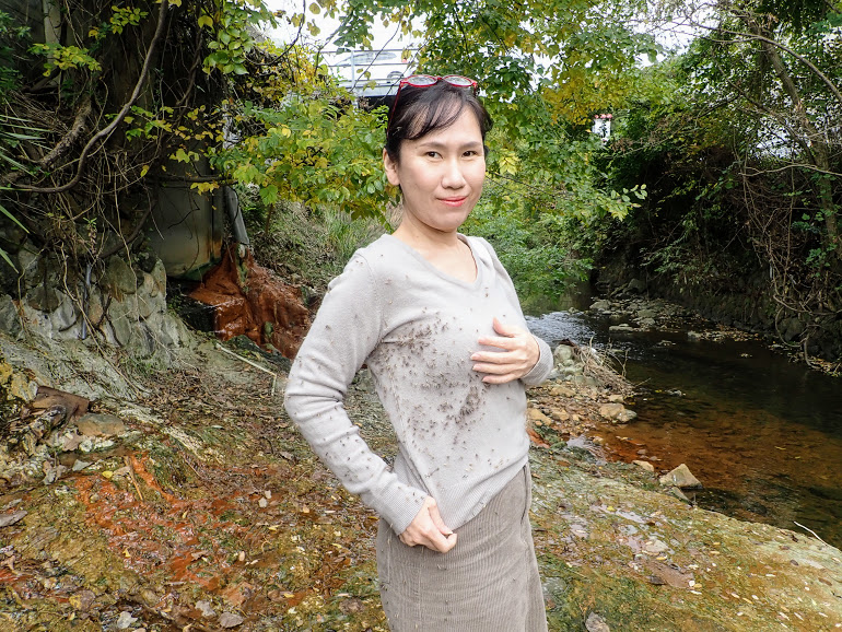 f:id:omoroionnsenn:20201203205503j:plain