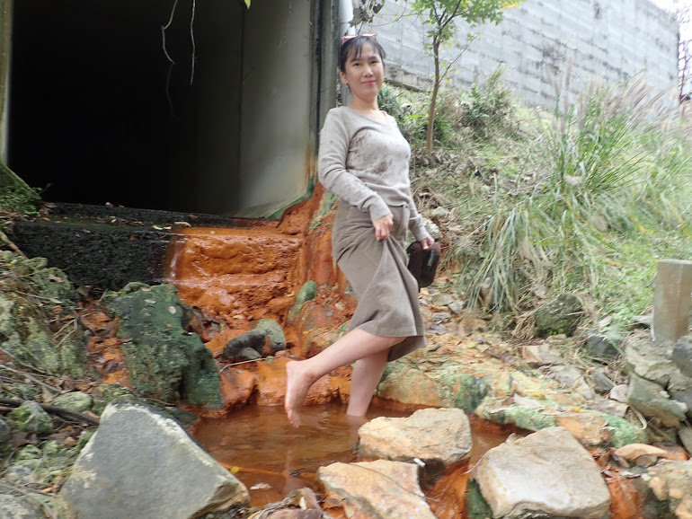 f:id:omoroionnsenn:20201203220618j:plain