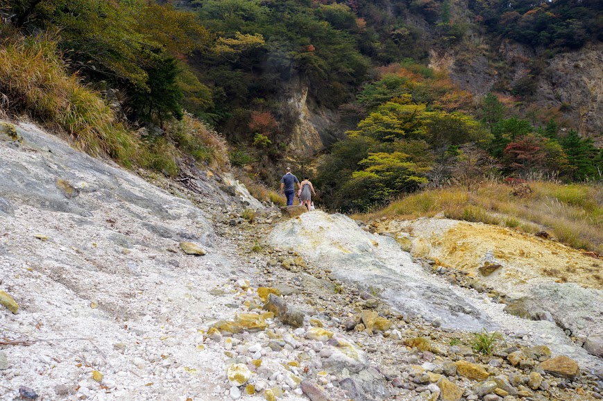 f:id:omoroionnsenn:20201204174648j:plain