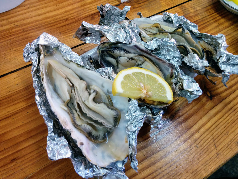 f:id:omoroionnsenn:20210209103959j:plain