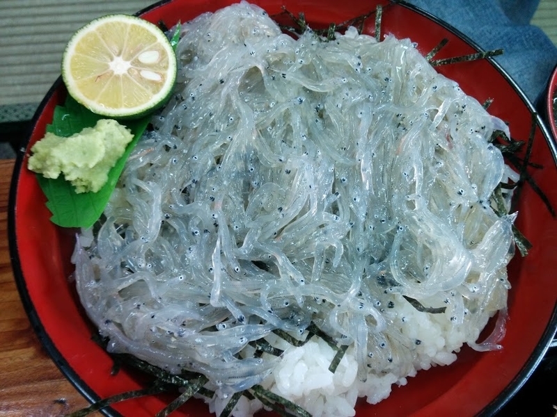 f:id:omoroionnsenn:20210209104547j:plain