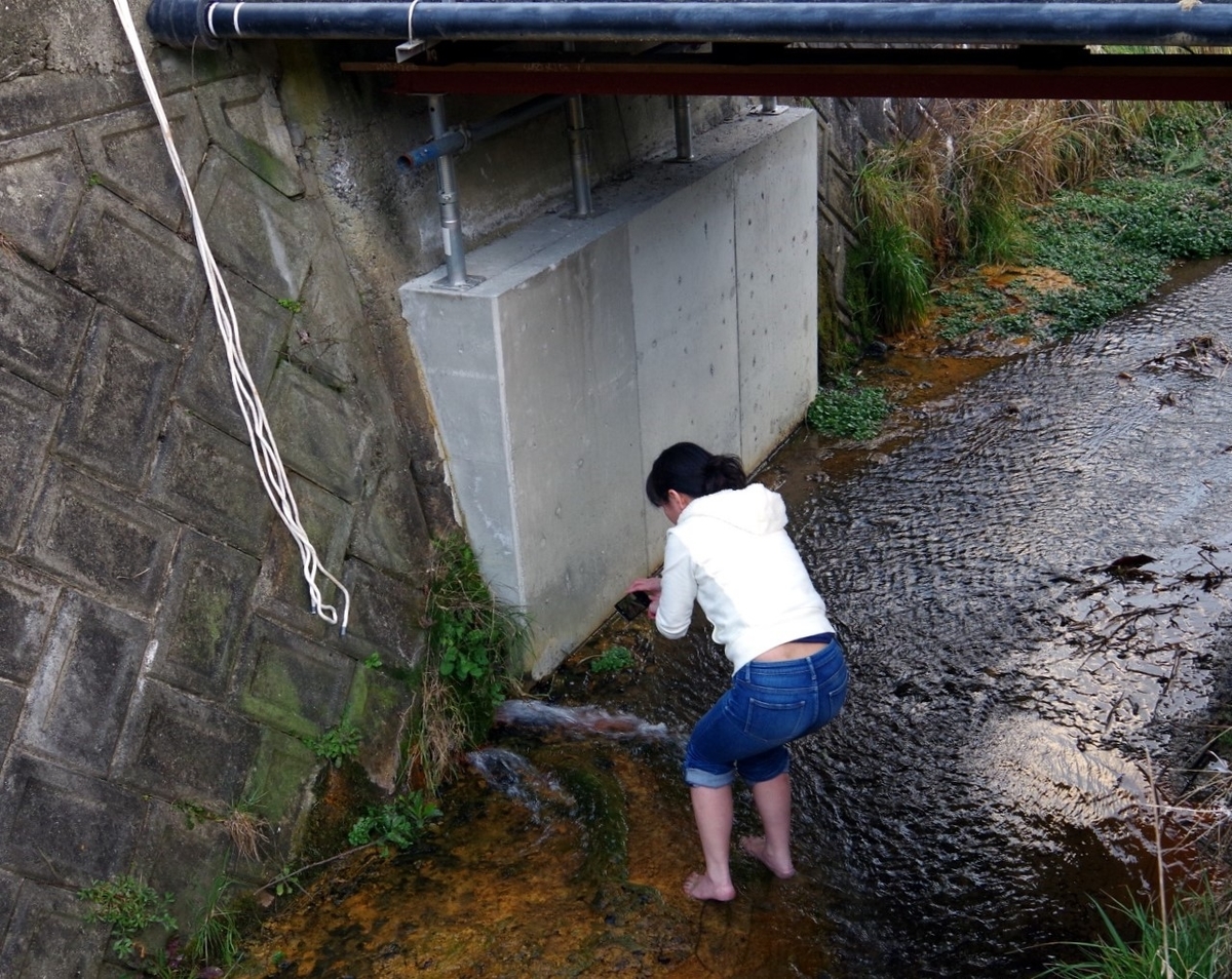 f:id:omoroionnsenn:20210209110812j:plain