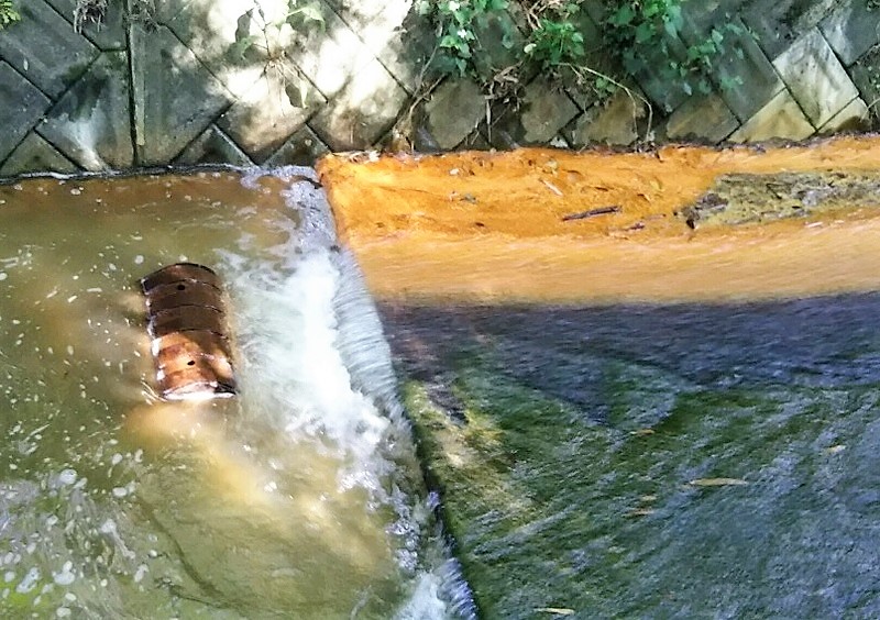 f:id:omoroionnsenn:20210305193432j:plain