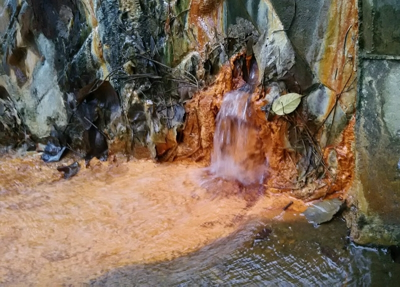 f:id:omoroionnsenn:20210305195413j:plain