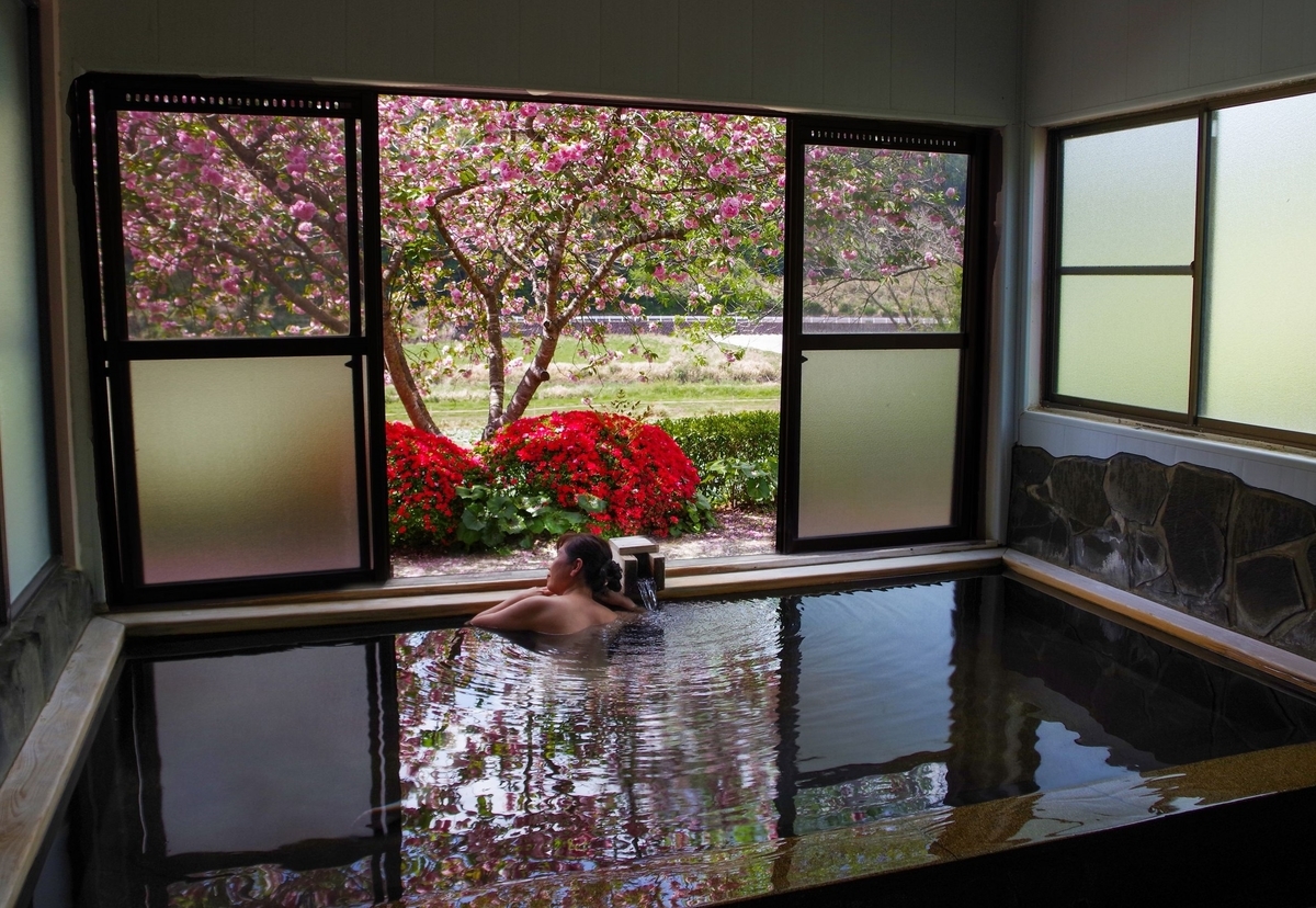 f:id:omoroionnsenn:20210420081104j:plain