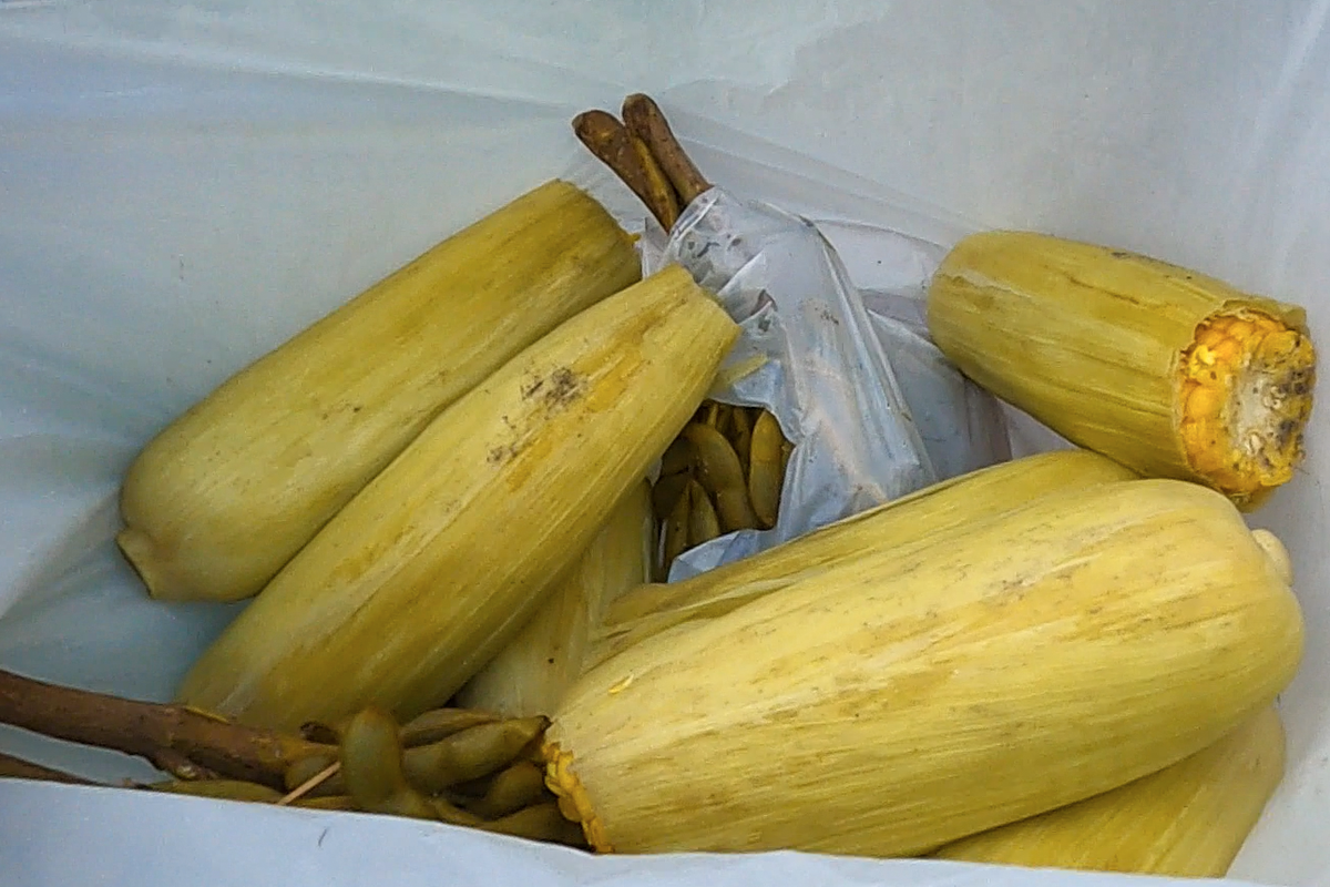 f:id:omoroionnsenn:20210917185757p:plain