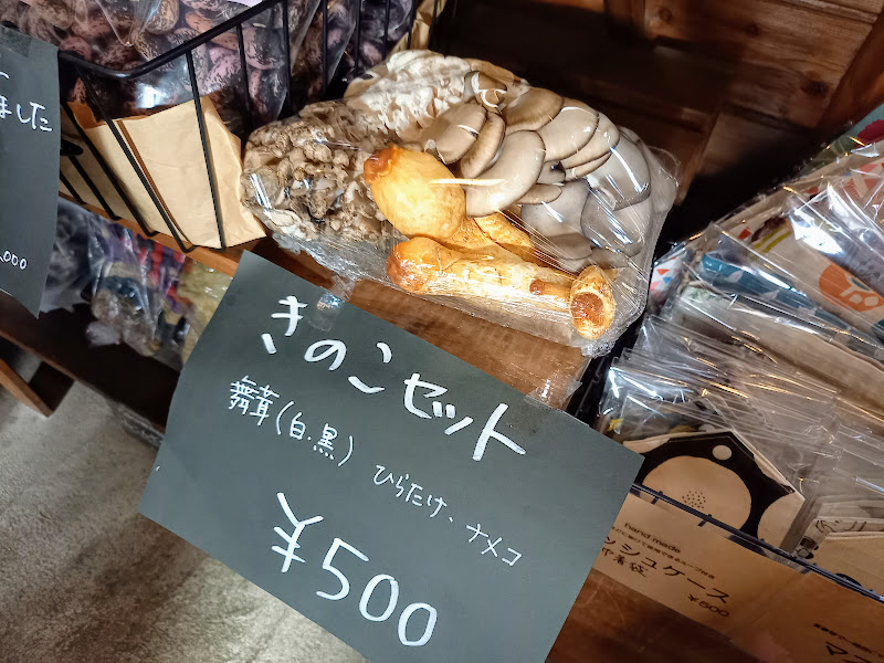 f:id:omoroionnsenn:20211128080014j:plain