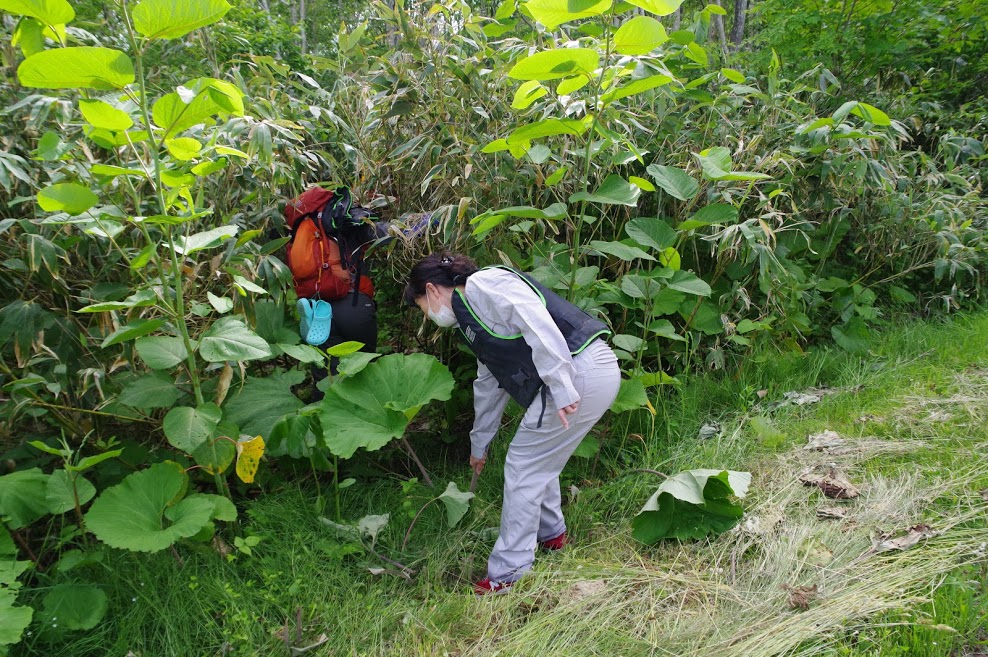 f:id:omoroionnsenn:20211206112404j:plain