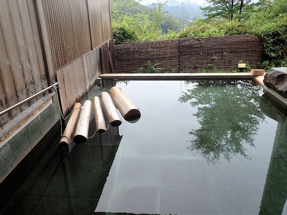 f:id:omoroionnsenn:20220125220959j:plain