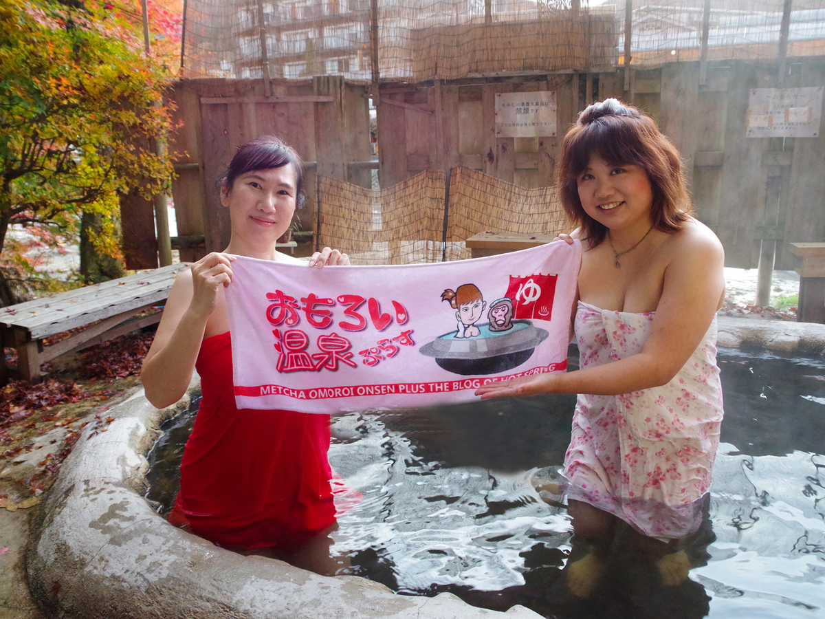 f:id:omoroionnsenn:20220204094938j:plain