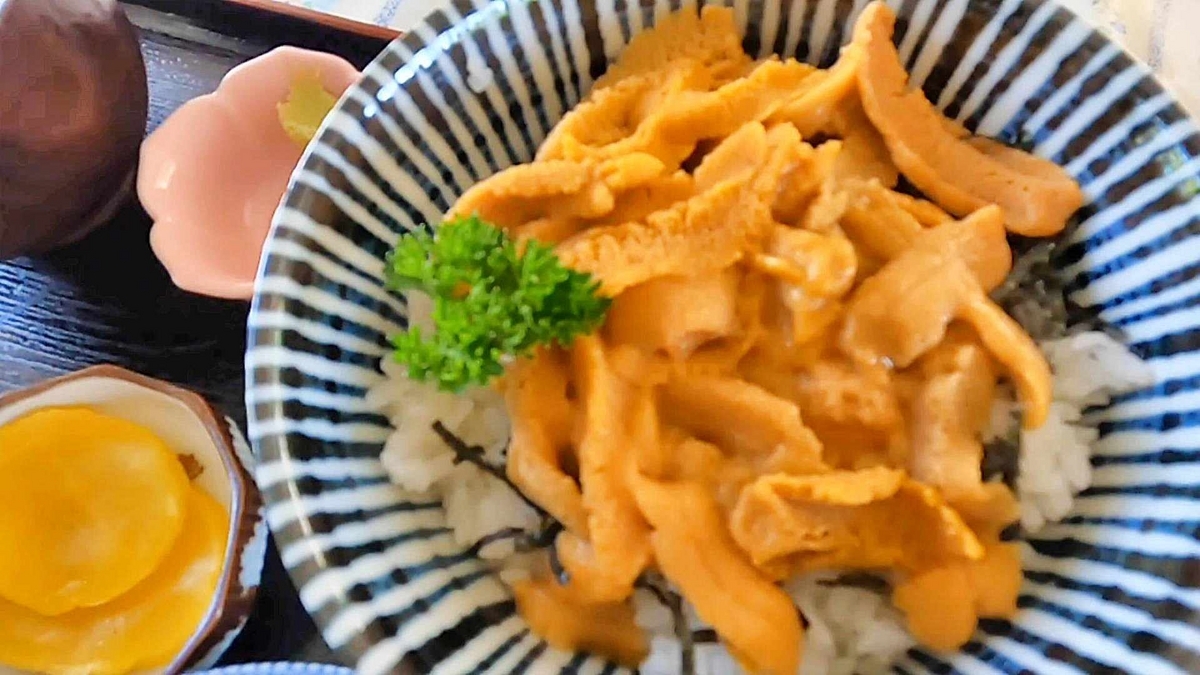 青森県佐井村 下北半島【仏ヶ浦ドライブイン】のウニ丼！ - めっちゃ