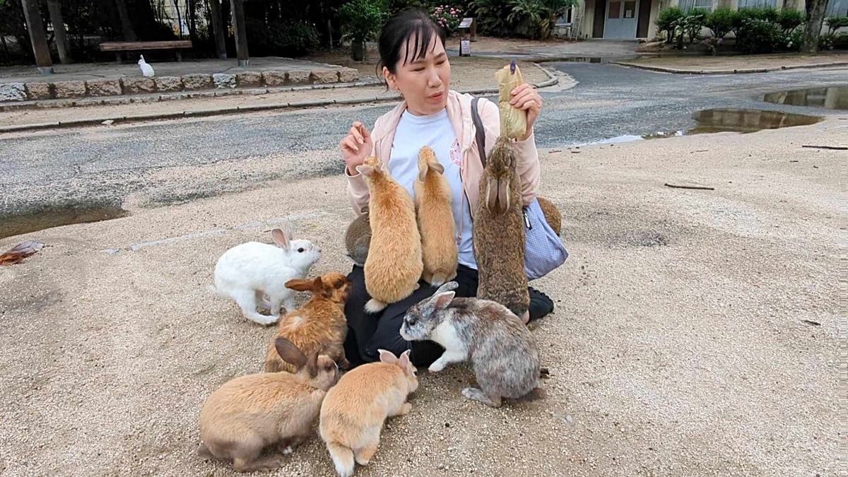 ピンクの丸ポストとうさぎの島大久野島 - めっちゃおもろい温泉ぷらす