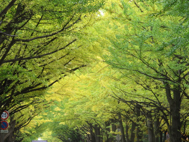 f:id:omosiroxyz:20151020124536j:plain f:id:omosiroxyz:20151020124536j:plain