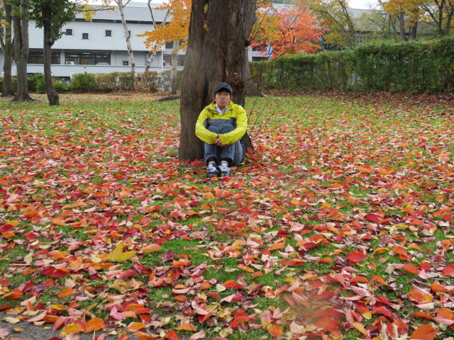 f:id:omosiroxyz:20151020124540j:plain f:id:omosiroxyz:20151020124540j:plain