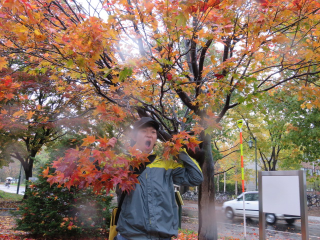 f:id:omosiroxyz:20151020124541j:plain f:id:omosiroxyz:20151020124541j:plain