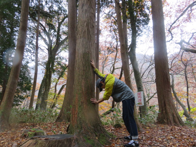 f:id:omosiroxyz:20151114231924j:plain f:id:omosiroxyz:20151114231924j:plain