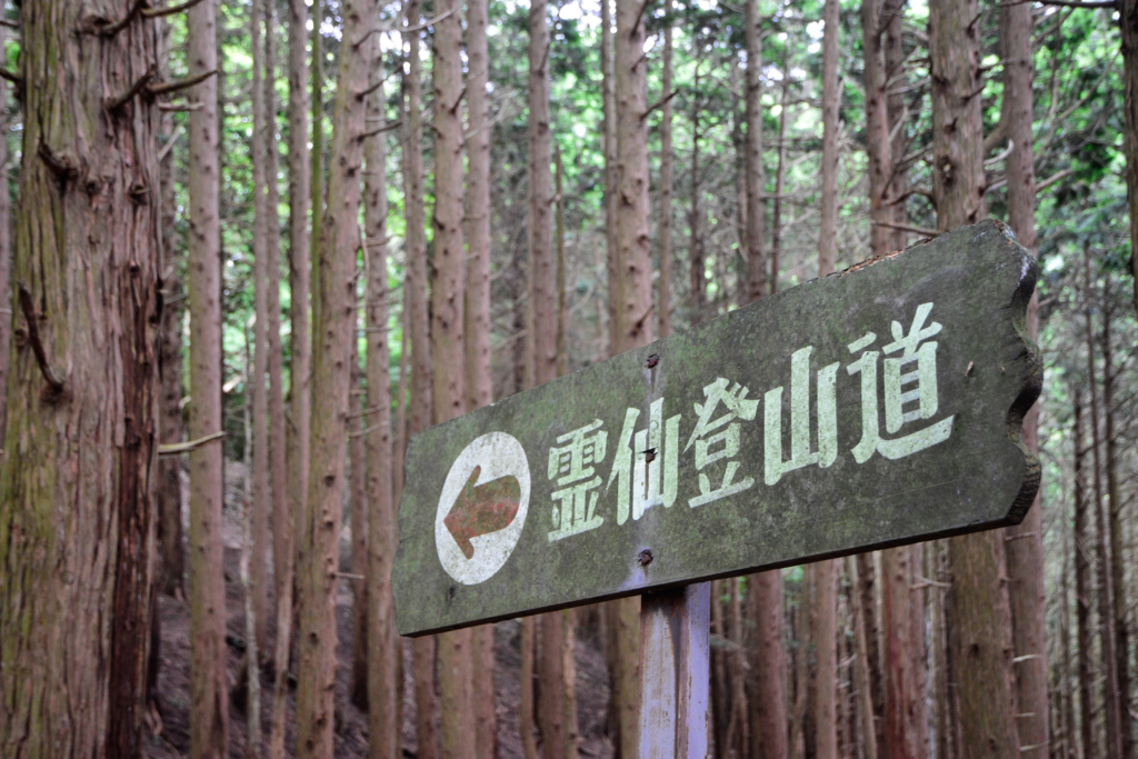 f:id:omossan7182t:20180705193326j:plain f:id:omossan7182t:20180705193326j:plain