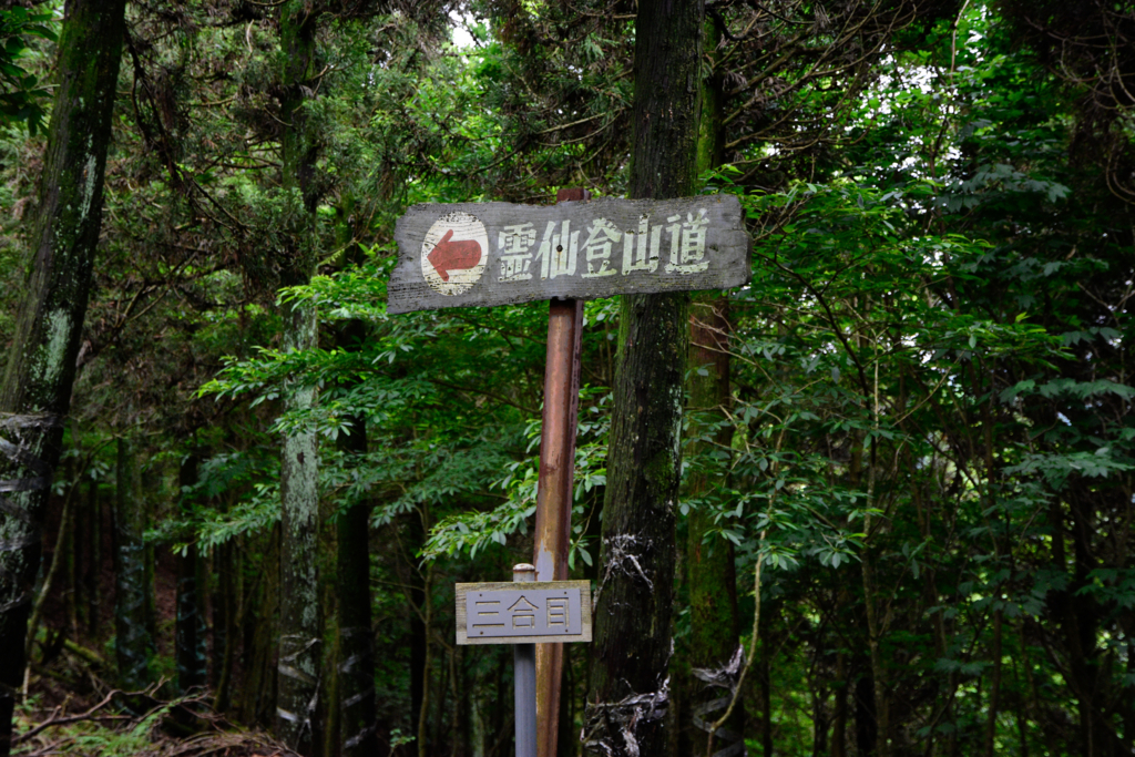 f:id:omossan7182t:20180705193328j:plain f:id:omossan7182t:20180705193328j:plain