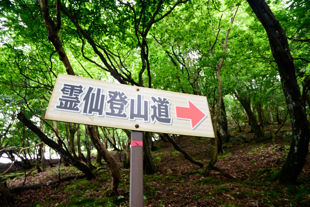 f:id:omossan7182t:20180705205052j:plain f:id:omossan7182t:20180705205052j:plain