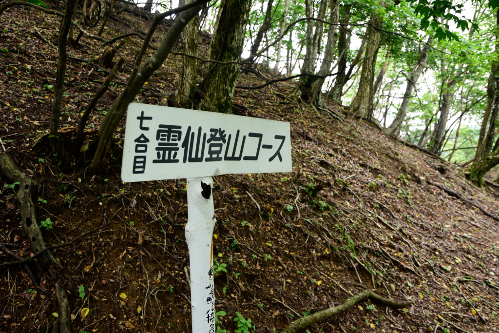 f:id:omossan7182t:20180705205452j:plain f:id:omossan7182t:20180705205452j:plain