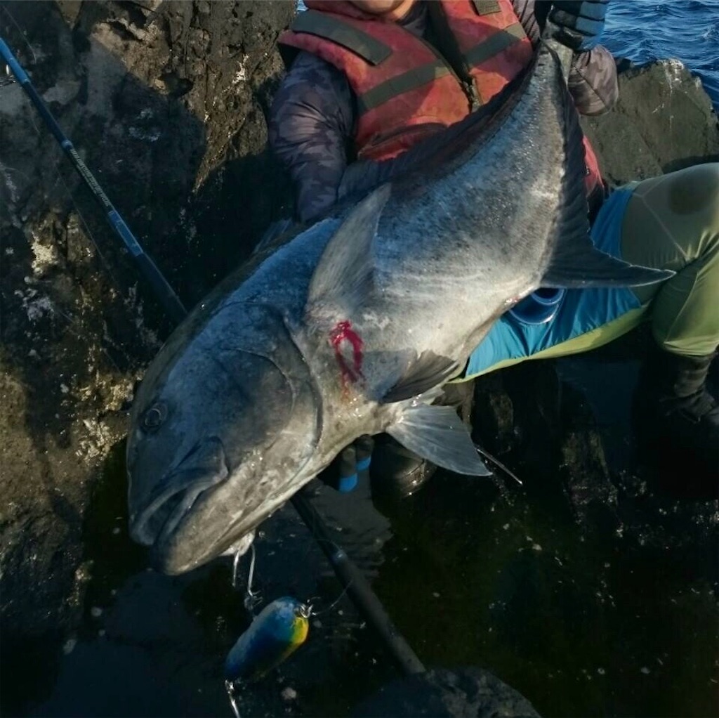 f:id:omr_1115:20190902220631j:image f:id:omr_1115:20190902220631j:image