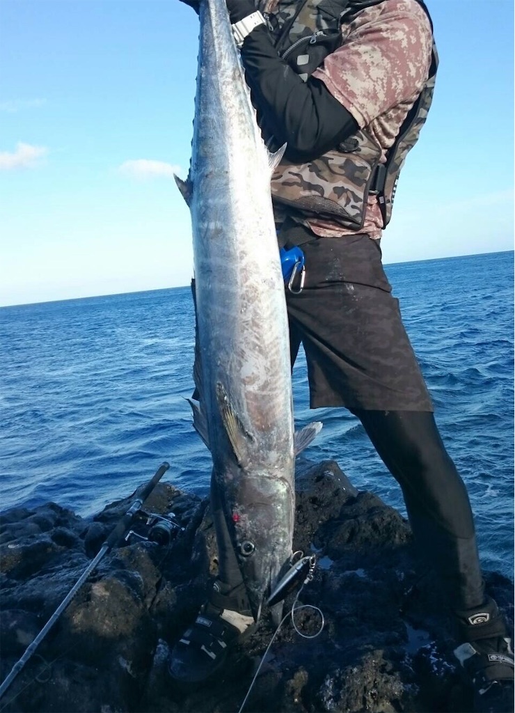 f:id:omr_1115:20190902221612j:image f:id:omr_1115:20190902221612j:image