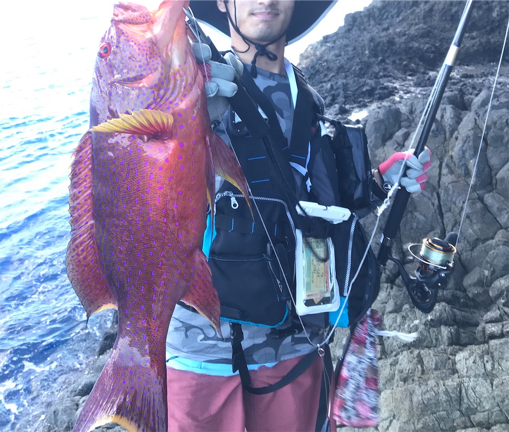 f:id:omr_1115:20190918191836j:image f:id:omr_1115:20190918191836j:image