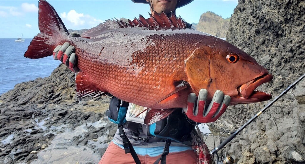 f:id:omr_1115:20190918194523j:image f:id:omr_1115:20190918194523j:image