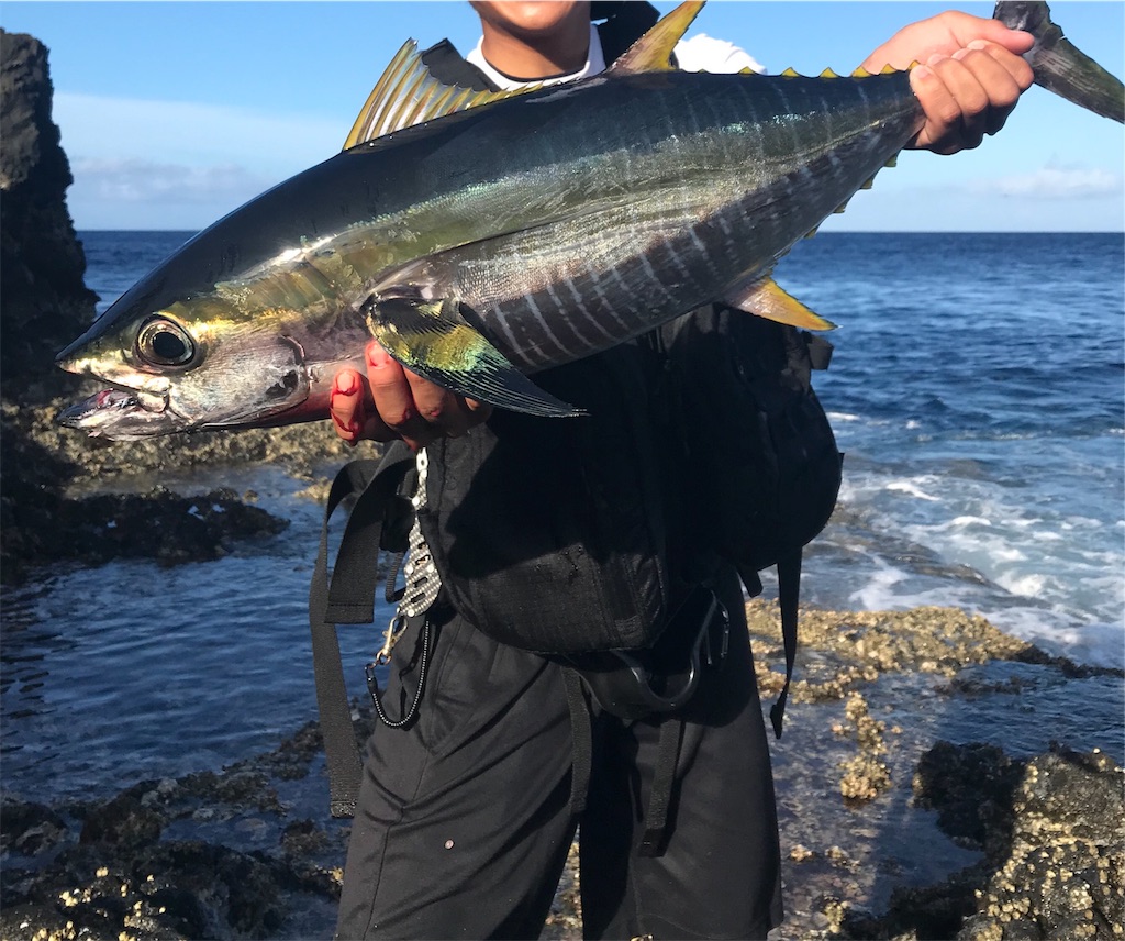 f:id:omr_1115:20190919032920j:image f:id:omr_1115:20190919032920j:image