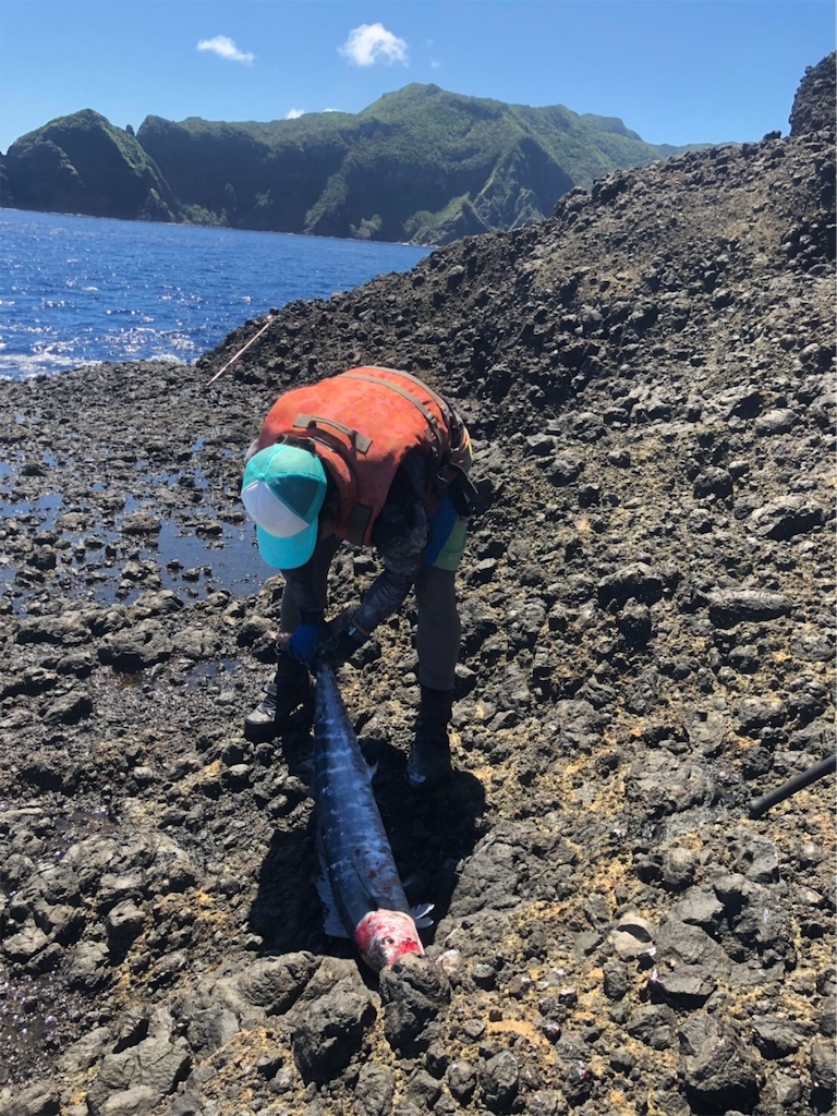 f:id:omr_1115:20190925221255j:image f:id:omr_1115:20190925221255j:image