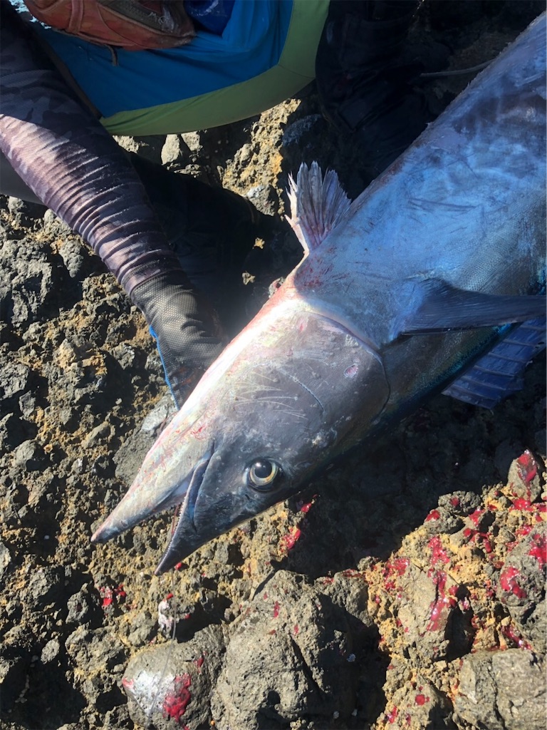 f:id:omr_1115:20190925221400j:image f:id:omr_1115:20190925221400j:image