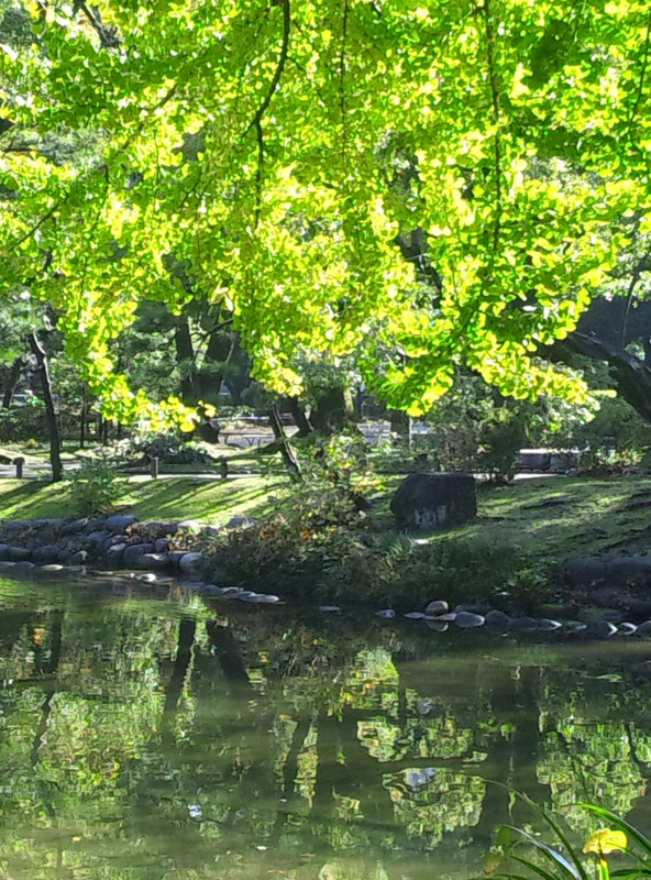 f:id:omronaruku88:20121121225113j:image:w640
