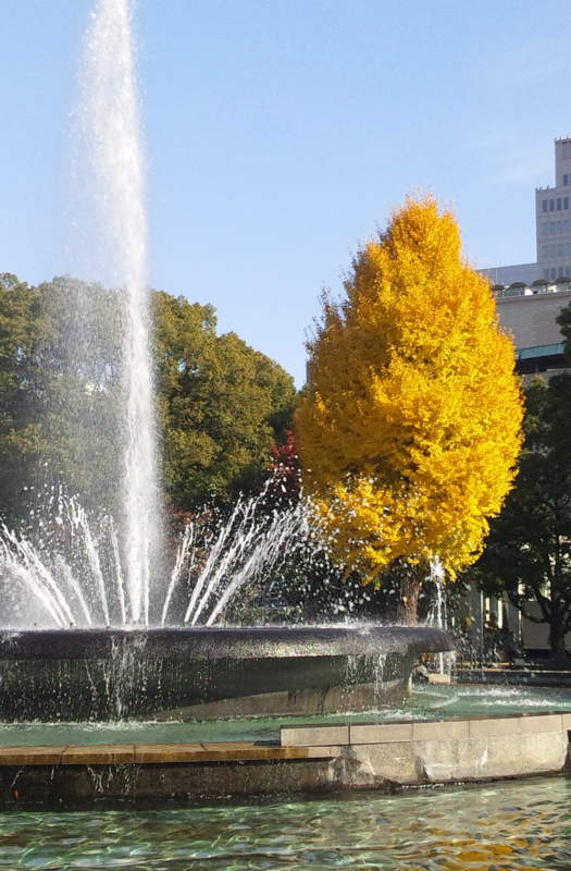 日比谷公園大噴水とイチョウ 2012.12.5byダー＆メイ