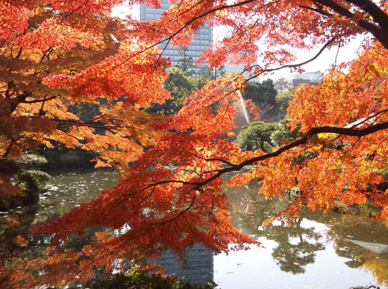 日比谷公園の紅葉と鶴の噴水 '12.12.05byダー＆メイ