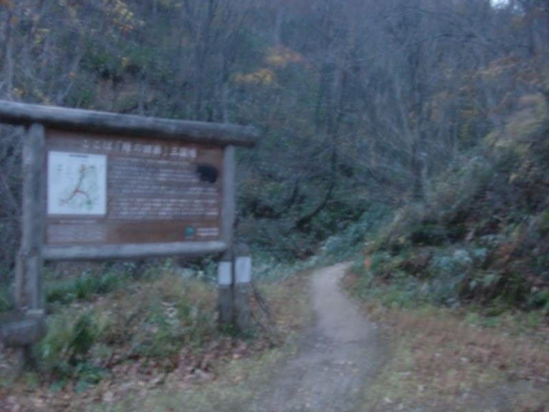 f:id:omtar:20121108164701j:image:w360 f:id:omtar:20121108164701j:image:w360