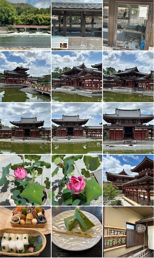 f:id:omu912:20260814212357j:image