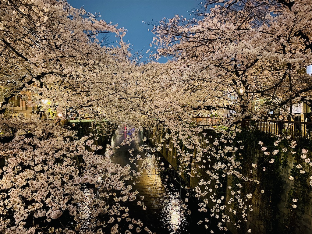 f:id:omuameba:20210328084913j:image