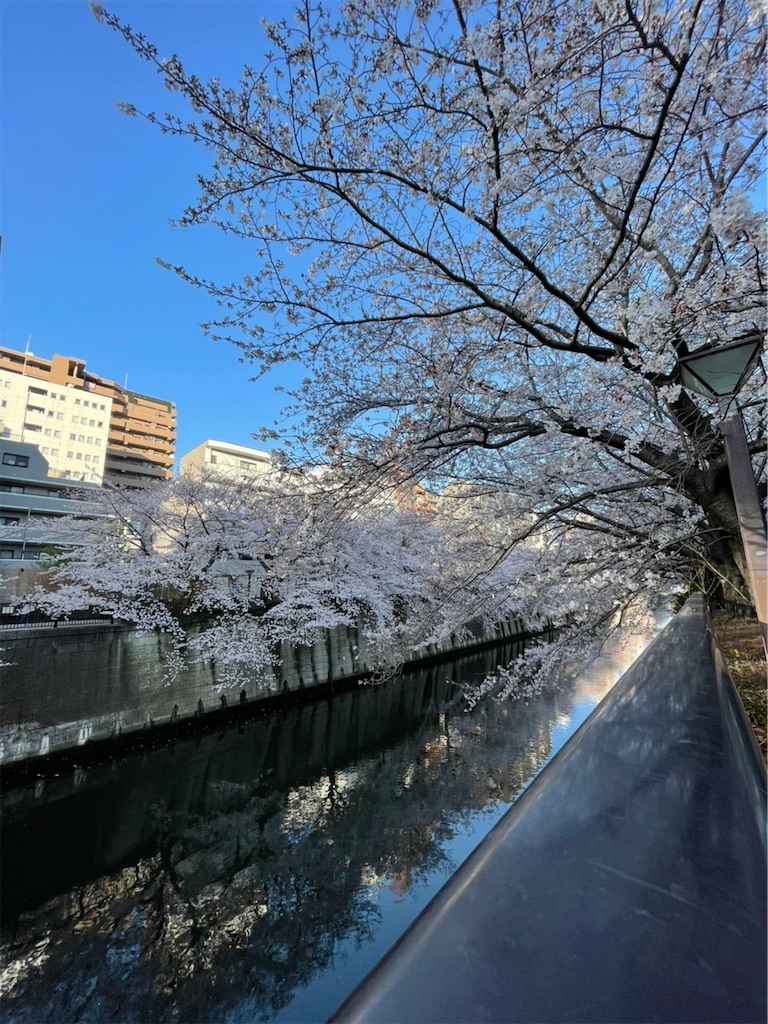 f:id:omuameba:20210328084920j:image