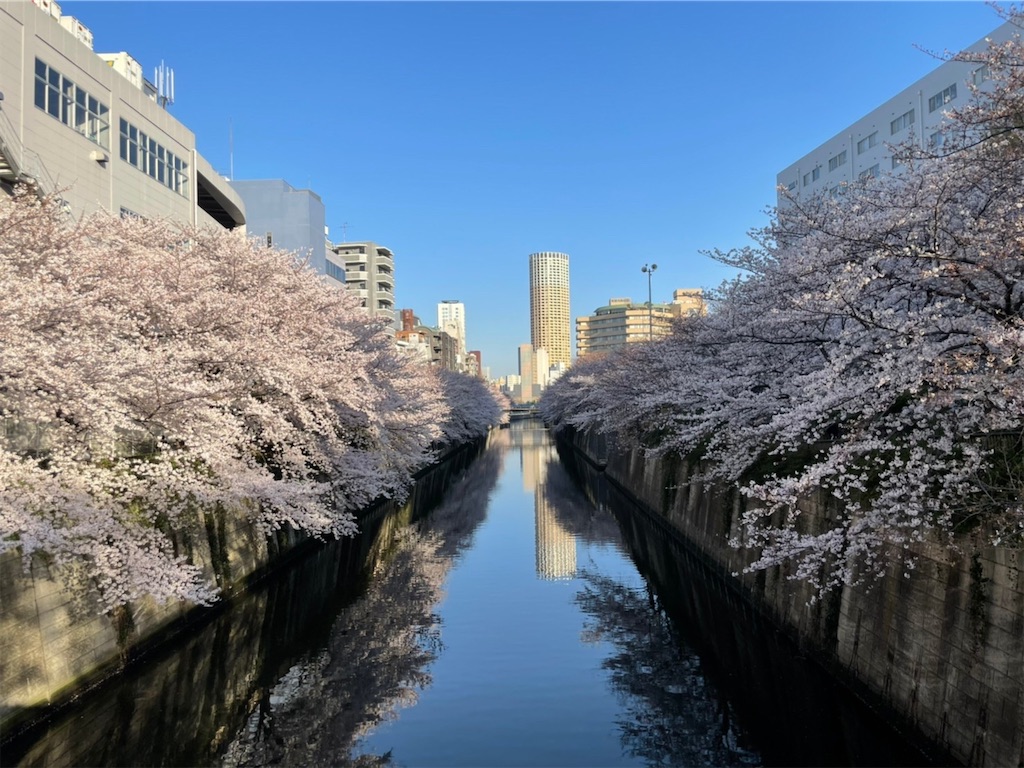 f:id:omuameba:20210328084927j:image